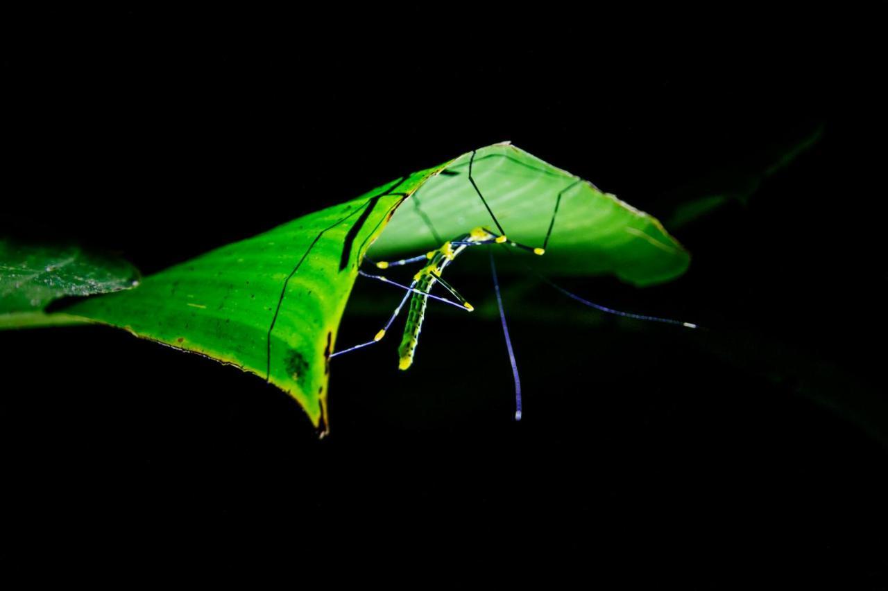 Kuyana Amazon Lodge Archidona Esterno foto
